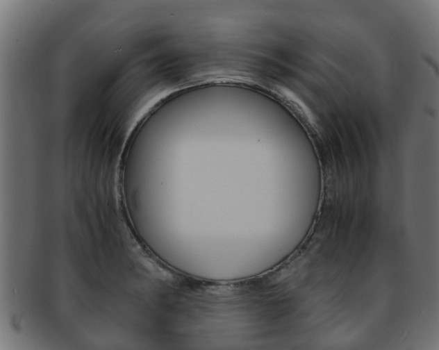 X0000091961182200709061054