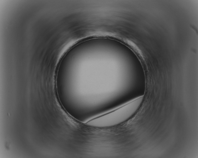 X0000091961183200709061054