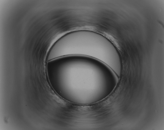 X0000091961184200709061054