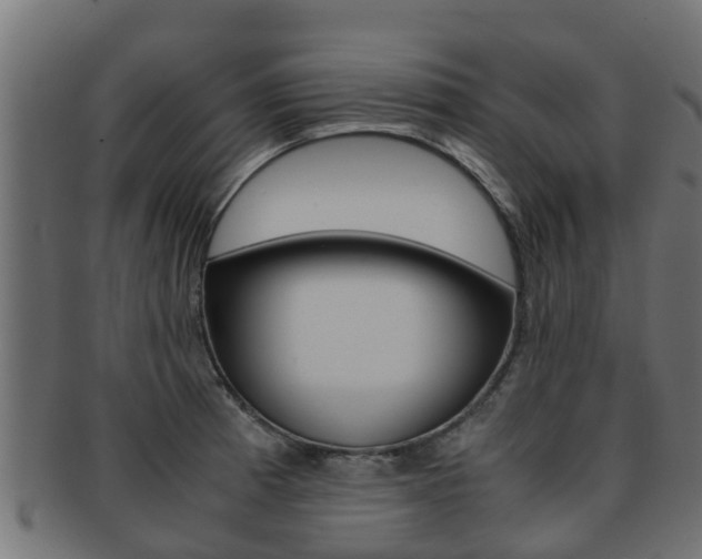 X0000091961185200709061054
