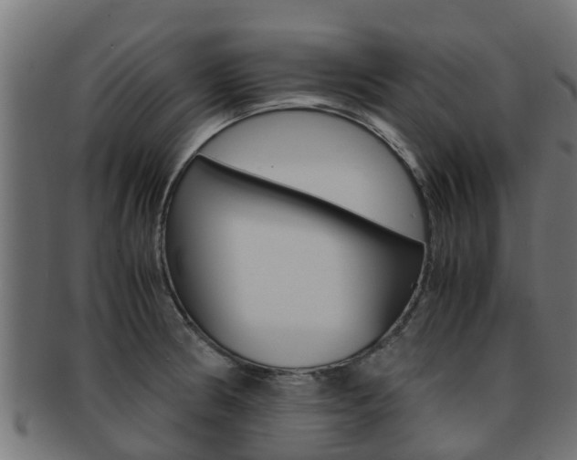 X0000091961186200709061054