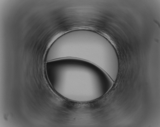 X0000091961187200709061054