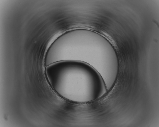 X0000091961188200709061054