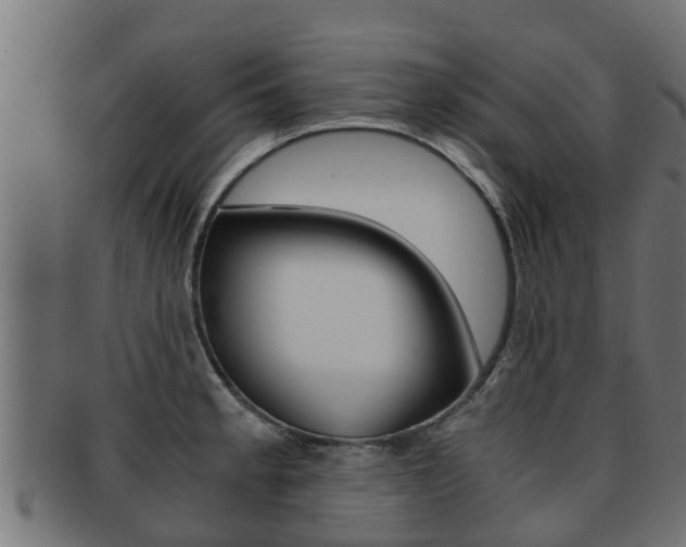 X0000091961189200709061054