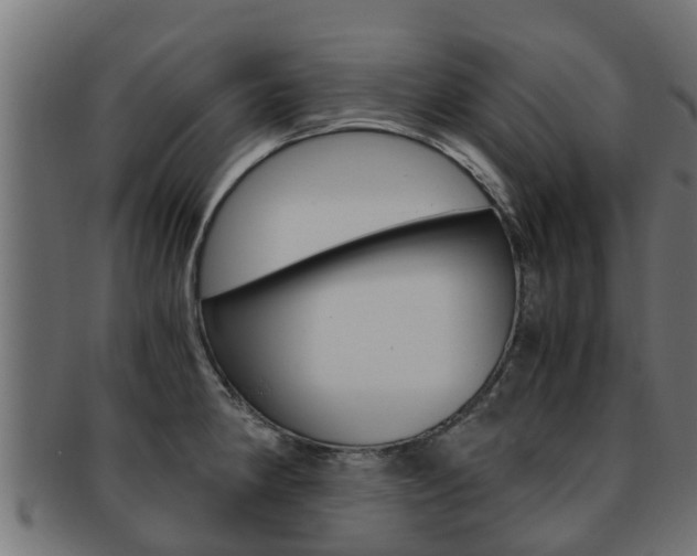 X0000091961190200709061054
