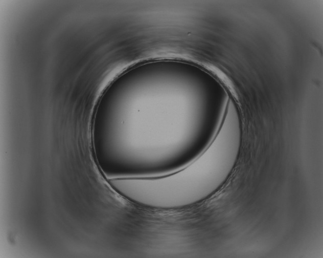 X0000091961191200709061054