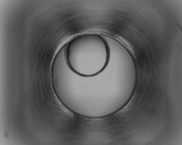 X0000091961192200709061054
