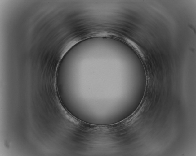 X0000091961194200709061053