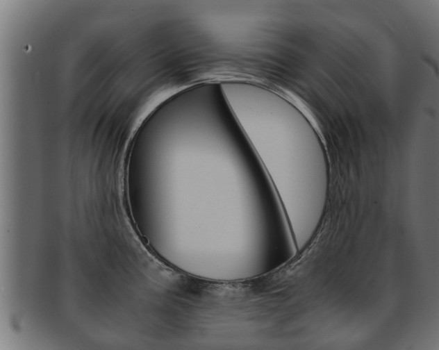 X0000091961195200709061053