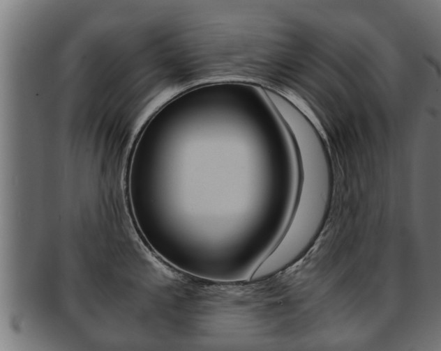 X0000091961197200709061053