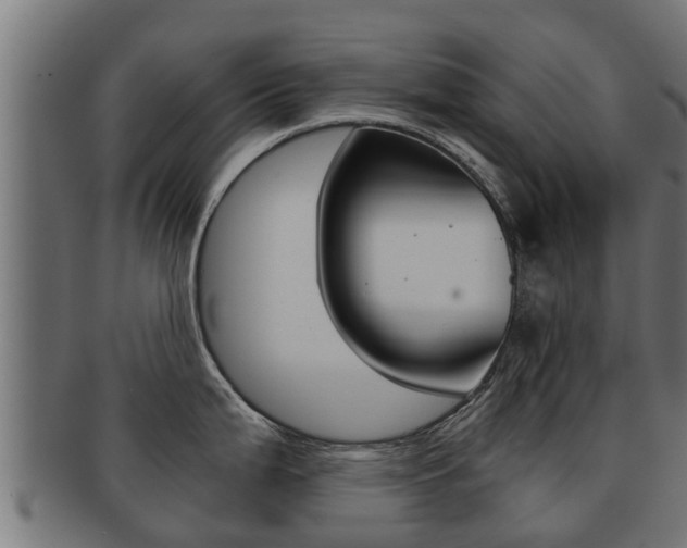 X0000091961199200709061053