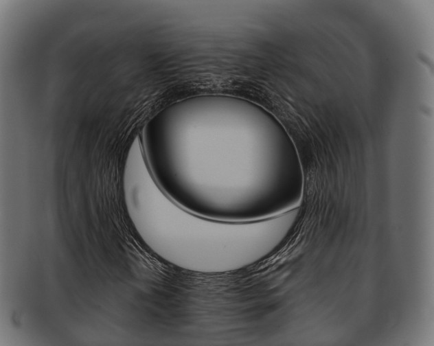 X0000091961202200709061053