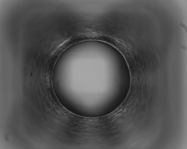 X0000091961205200709061053