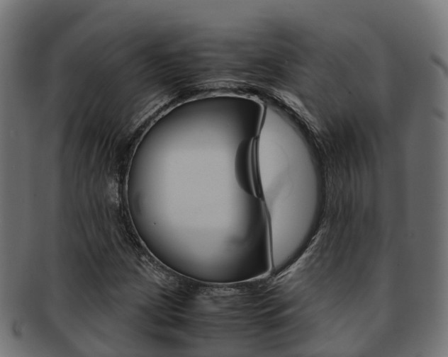X0000091961209200709061053