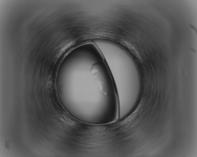 X0000091961210200709061053