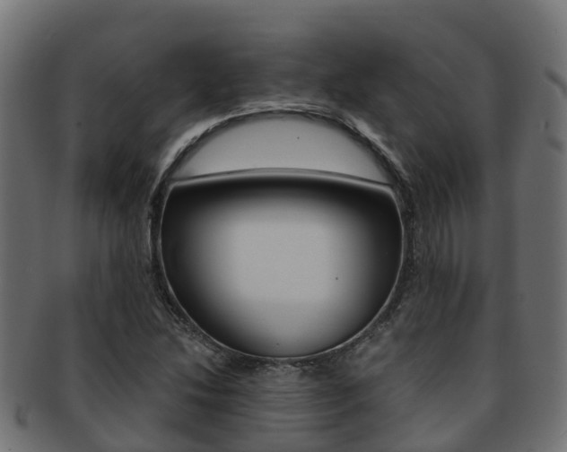 X0000091961214200709061053