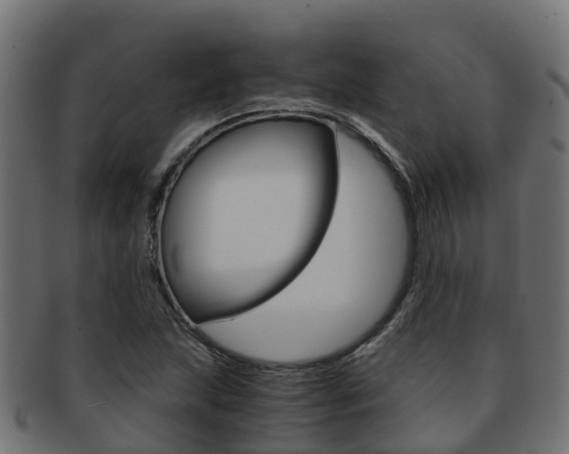 X0000091961215200709061053