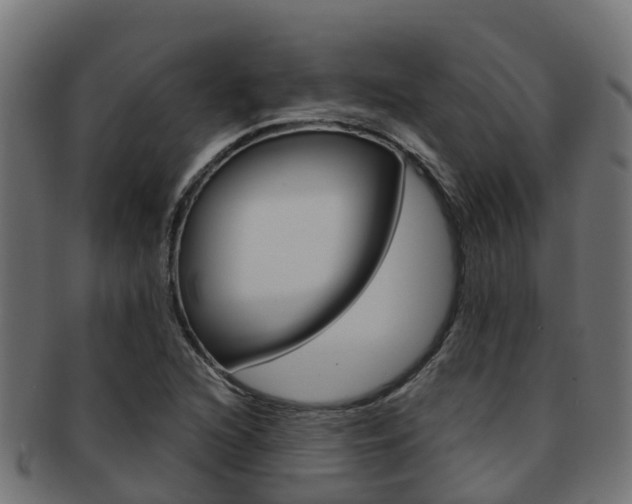 X0000091961216200709061053