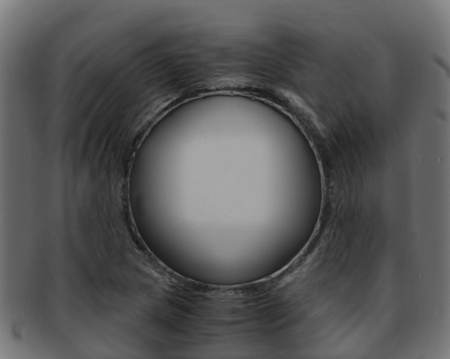 X0000091961217200709061053