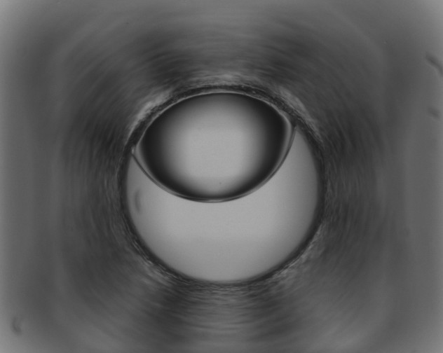 X0000091961218200709061053