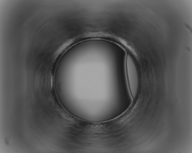 X0000091961221200709061053
