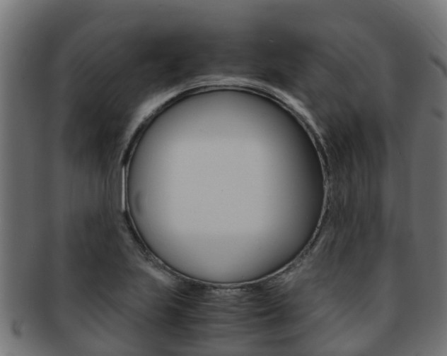 X0000091961223200709061053