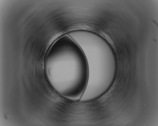 X0000091961226200709061053