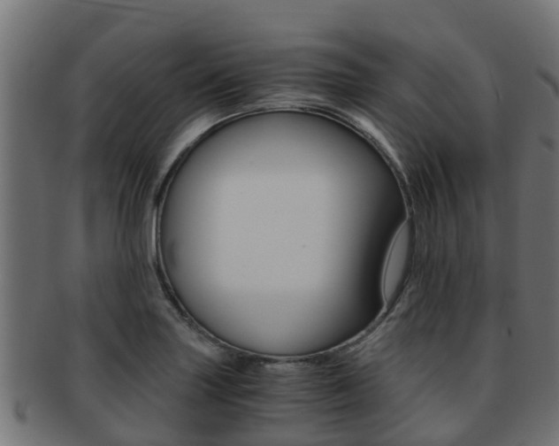 X0000091961227200709061053