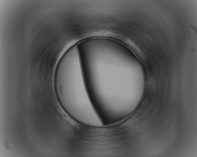 X0000091961232200709061053