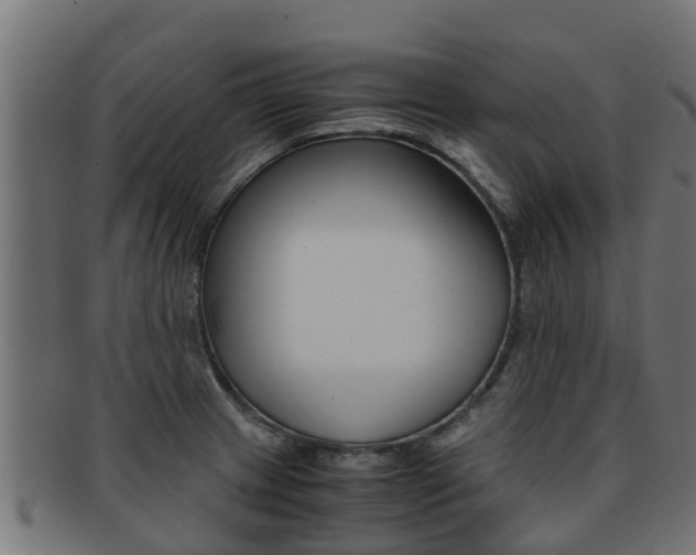 X0000091961233200709061053