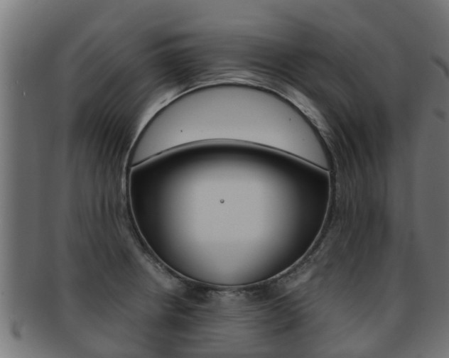 X0000091961234200709061053
