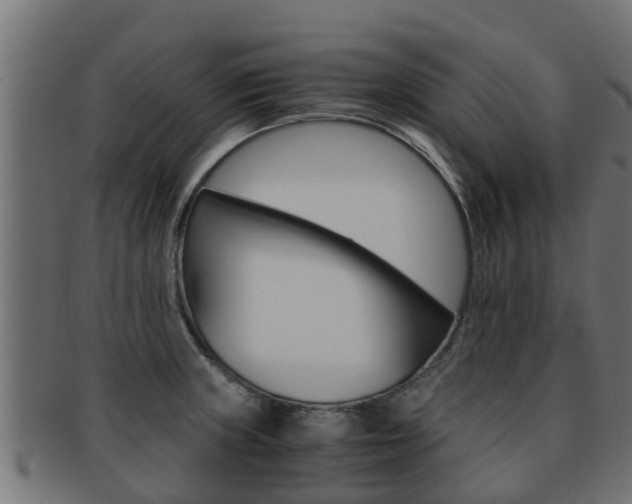 X0000091961235200709061053