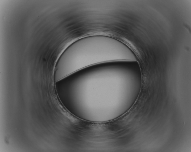 X0000091961236200709061053