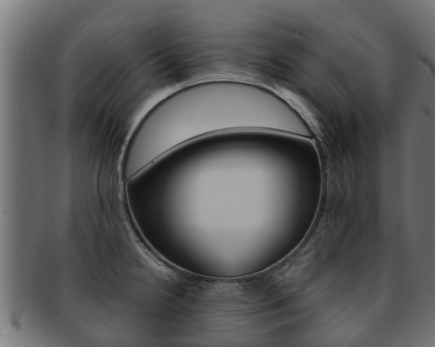 X0000091961238200709061053