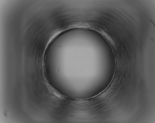 X0000091961240200709061053