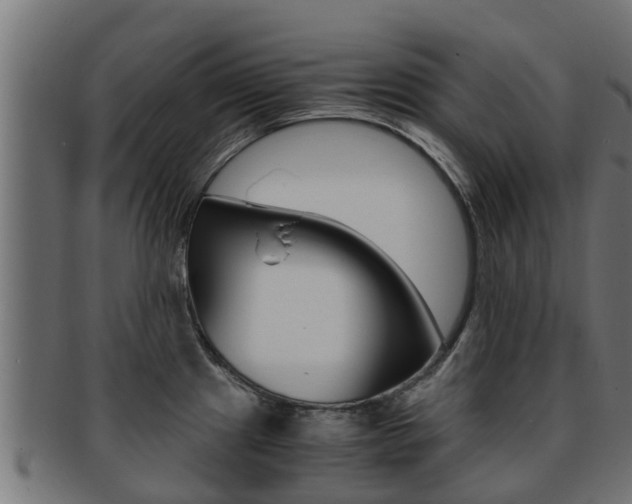 X0000091961241200709061053