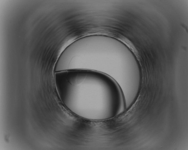 X0000091961242200709061053