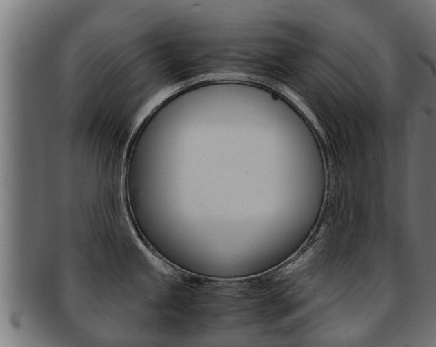 X0000091961245200709061053