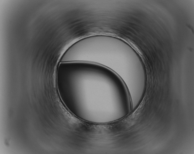 X0000091961246200709061053