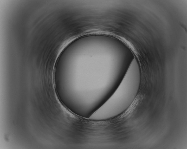 X0000091961247200709061053