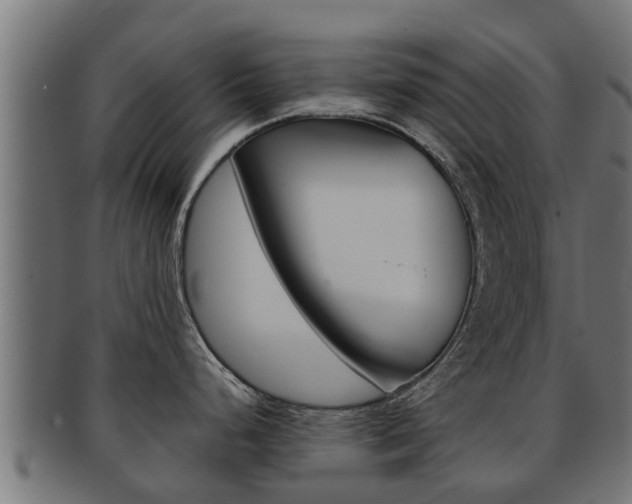 X0000091961248200709061053