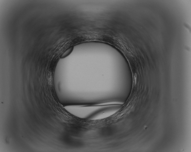 X0000091961251200709061053
