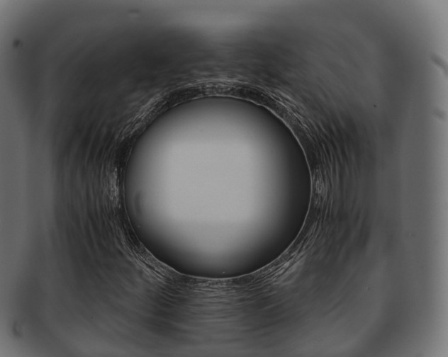 X0000091961252200709061053