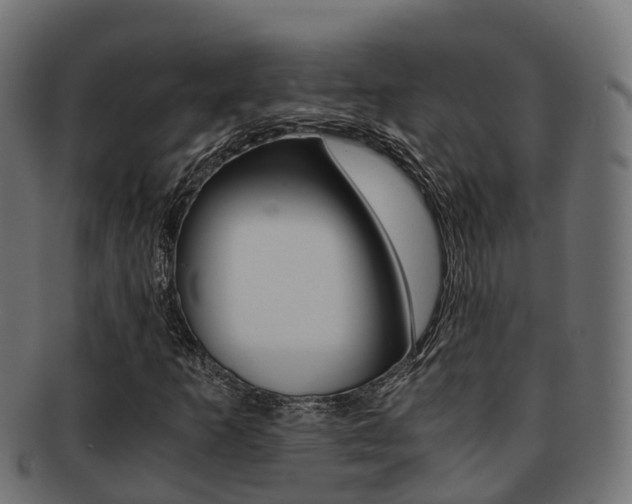 X0000091961253200709061053