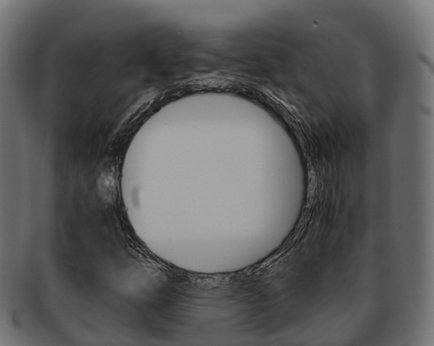 X0000091961254200709061053