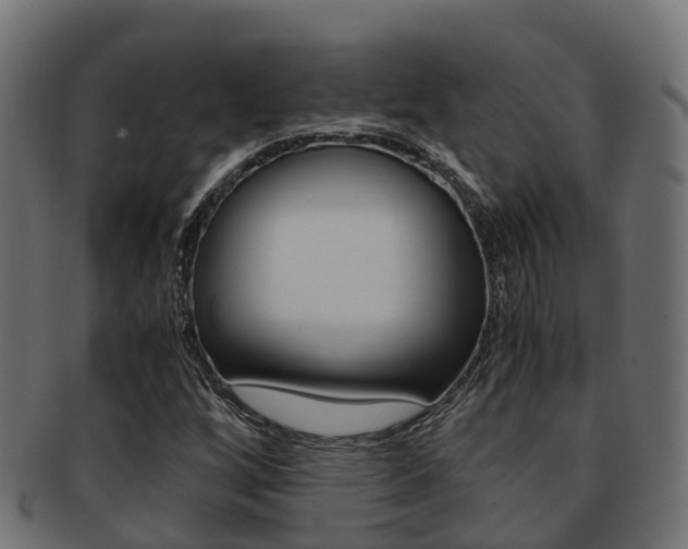 X0000091961256200709061053