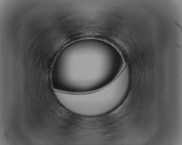 X0000091961257200709061053