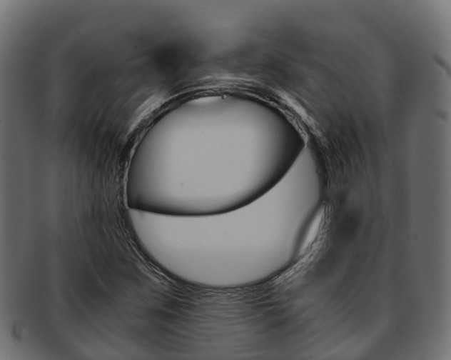 X0000091961259200709061053