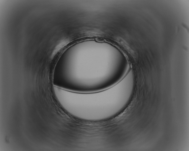 X0000091961261200709061053