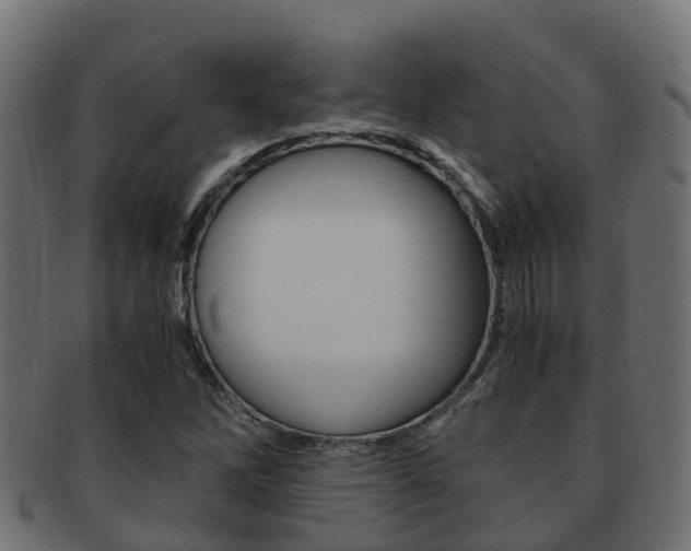 X0000091961262200709061053